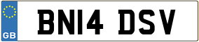 Truck License Plate
